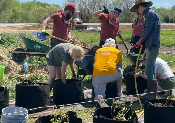 Employees planting trees to give back